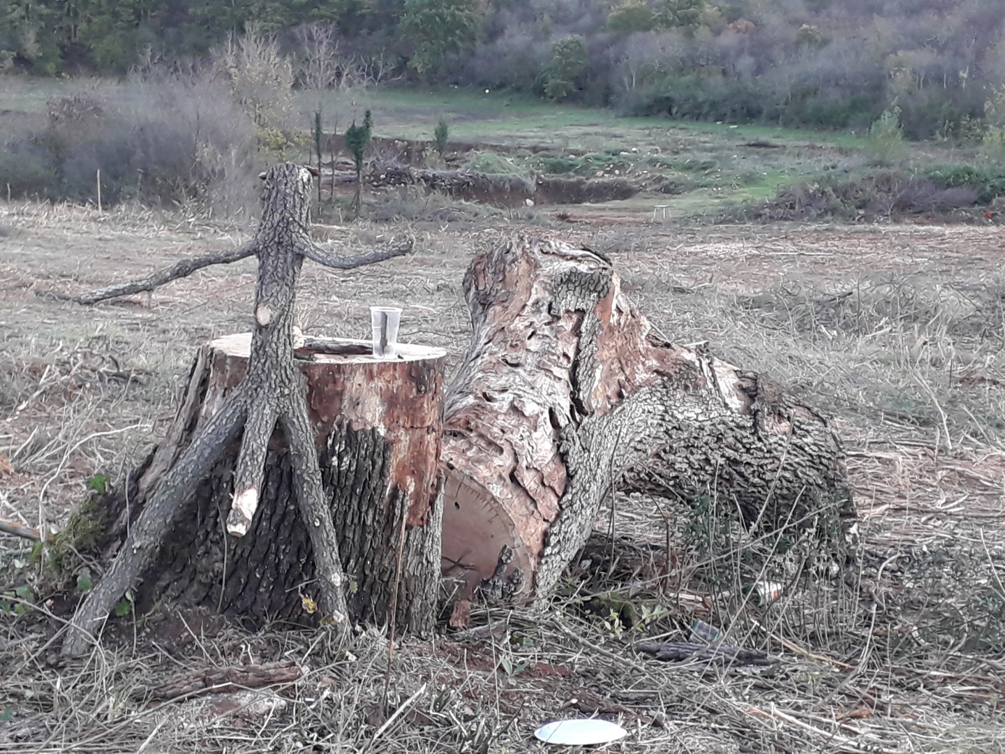 Ekocid u režiji lokalnih šerifa